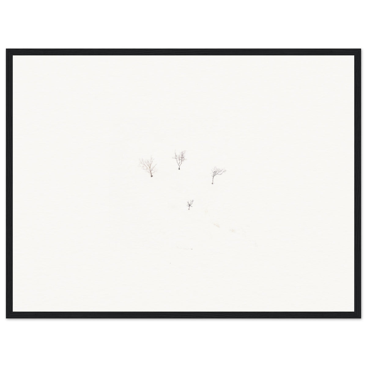 192f509e-0b63-4a17-8550-578b27515747