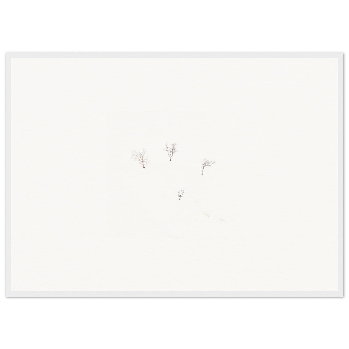 2f3700fc-48e7-48ad-8c33-85913b99f09b