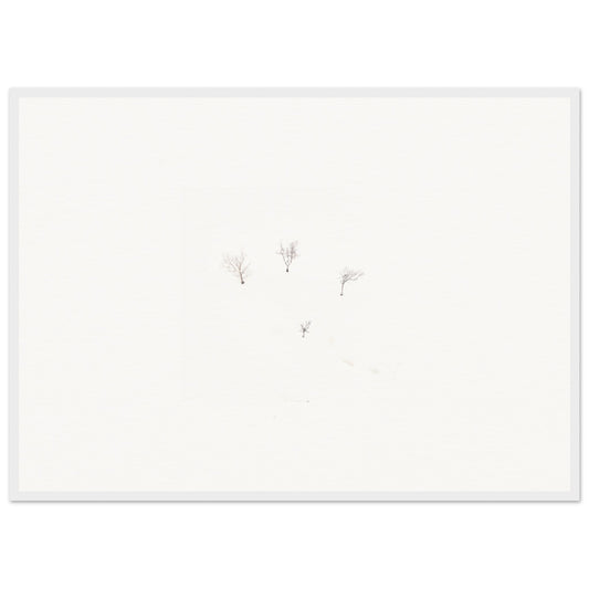 2f3700fc-48e7-48ad-8c33-85913b99f09b