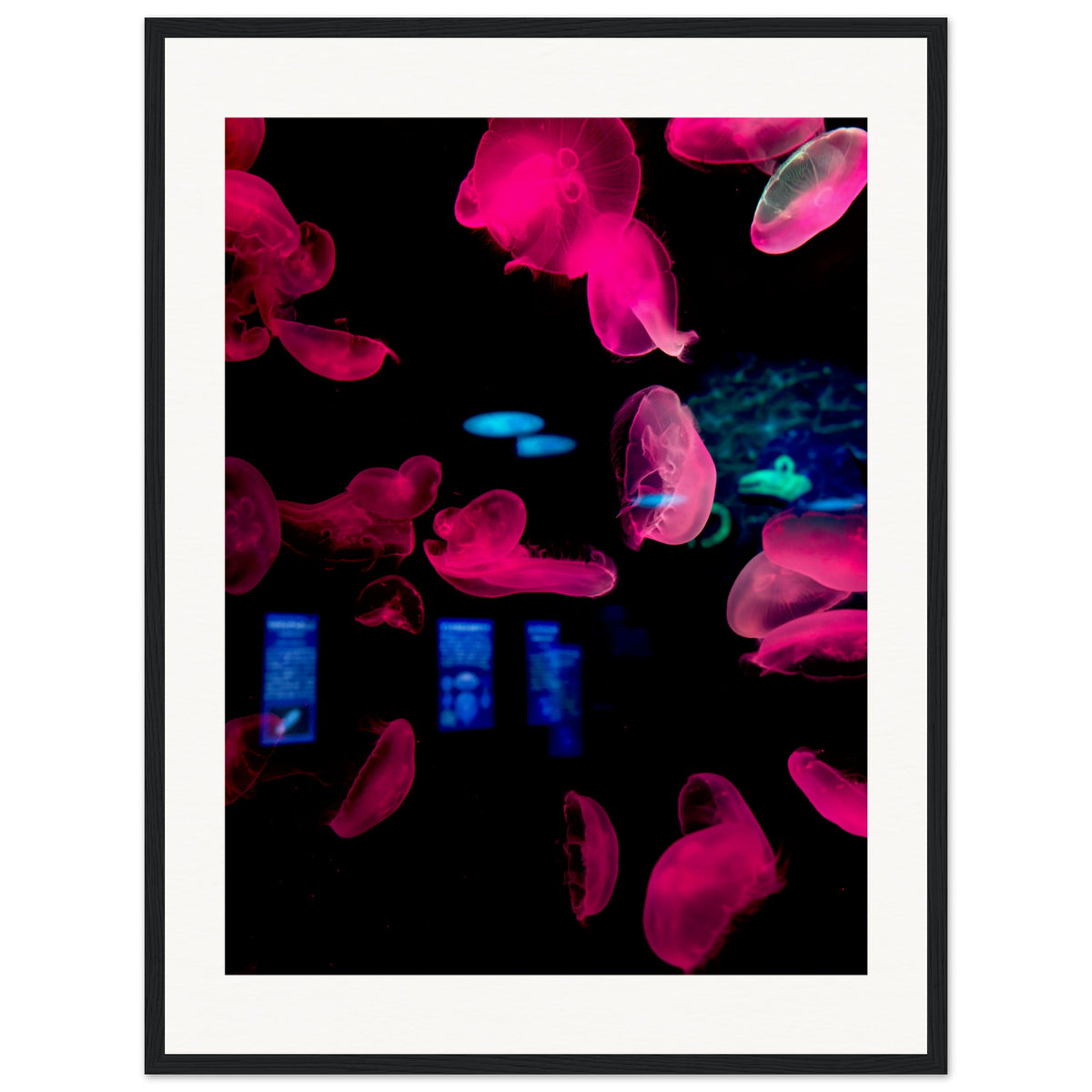 7cb04350-c0d5-4309-922b-05d865a9eae8