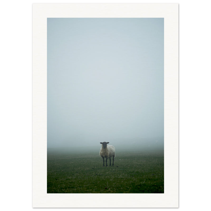 Deer 01 · Fine Art Print