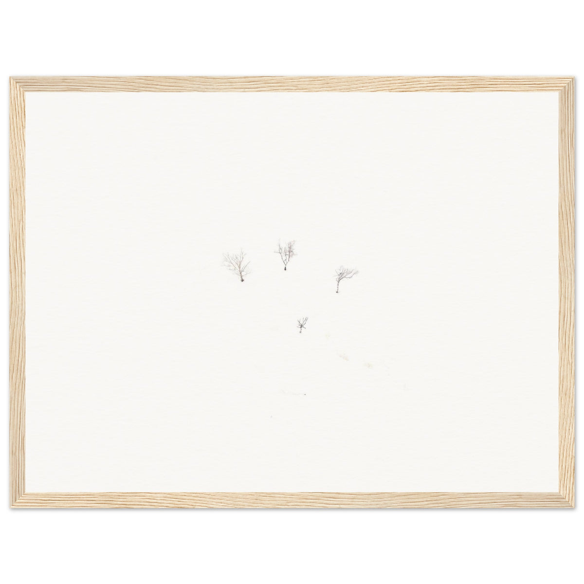 ec8e08a6-7acc-46d3-ae31-3cb81d7609b0